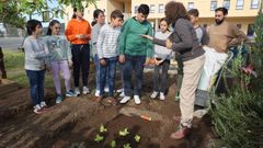 Alumnos de primaria del CEIP San Benito de L�rez, en Pontevedra, durante el primer d�a de talleres en la huerta