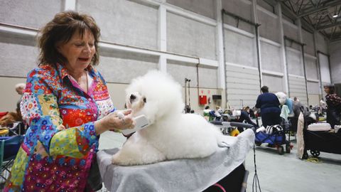 Exposici�n Canina de Galicia en Lugo