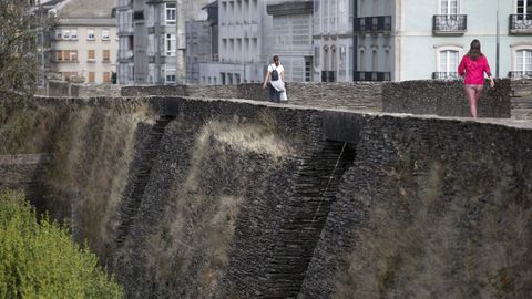 Las malas hierbas crecen en todos los rincoles de la Muralla, a la espera de que las corten