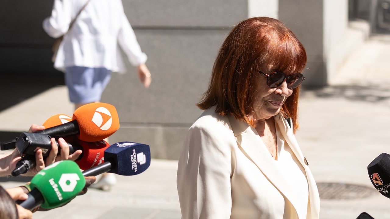 Narbona admite que Leire Díez le ofreció «información útil», pero niega cualquier relación con la trama