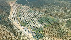 Planta fotovoltaica construida por Grupo San Jos en Jan
