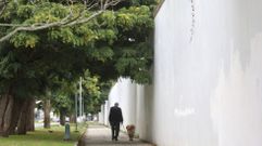 Vista de la muralla del Arsenal Militar de Ferrol, que discurre a lo largo del paseo de Irmandi�os.