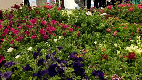 La Comisi&oacute;n Europea quiere concienciar a los ciudadanos de la importancia de cuidar las plantas