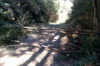 Un ciclista del club Farto se�aliza un cable en una pista forestal de Verducio (arriba), mientras que en el entorno de A Escusa (Poio) aparecieron varios caminos obstaculizados. 