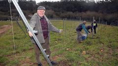 Francisco Crusat, en la nueva plantaci�n de Entre os R�os