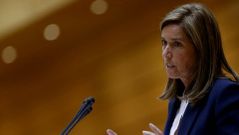 La ministra de Sanidad, Ana Mato.