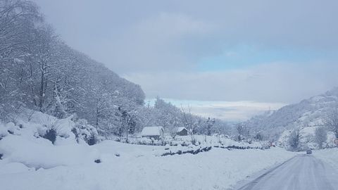 Estampa blanca en San Isidro