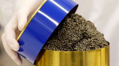 Caviar listo para su venta
