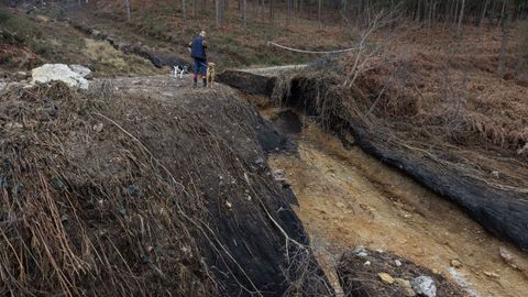Imagen&nbsp;tomada este domingo de una de las zonas arrasadas por la riada, que destroz&oacute; varios caminos.