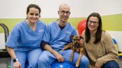 �Esto s� que es una animalada de amor!