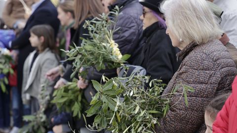 Durante la emblem�tica procesi�n de la Borriquilla en A Coru�a se realiz� la bendici�n de los ramos