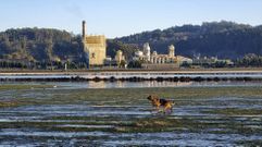 Fbrica de Ence, en la ra de Pontevedra