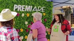 La ARE organiz� un juego din�mico en la plaza de Castelao