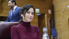 La presidenta de la Comunidad de Madrid, Isabel Daz Ayuso, este jueves en la Asamblea de Madrid.