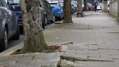 Sucesi�n de tramos de acera levantada en la calle Poeta P�rez Parall�, en Canido.