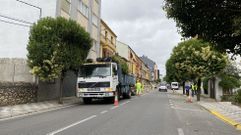 Los operarios arrancaron los �rboles que hay junto al colegio