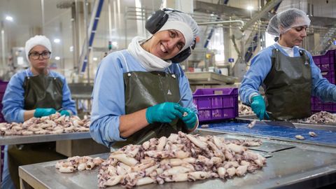 Visita a la conservera Orbe en el pol�gono de A Reigosa en Pontecaldelas.