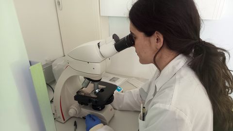 Investigadora predoctoral (Marta Lozano Oliv�n) visualizando bacterias al microscopio �ptico.