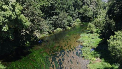 El río Avia, en San Clodio (Leiro).