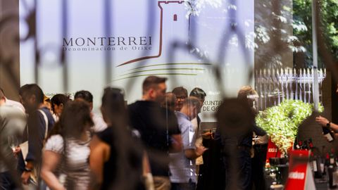 T�nel de vinos celebrado de la DO Monterei celebrado en Madrid para 150 profesionales del sector.