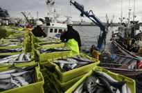 Descarga en A Coru�a (foto de archivo)