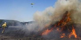 <span lang= es-es >Sin grandes incendios</span>. Este verano ning�n fuego ha quemado m�s de diez hect�reas (un gran incendio es el que supera las 20). Adem�s, la lluvia los ha retrasado. Por ejemplo, en el sur de la provincia de Lugo el primero de cierta entidad (en Monforte, en la imagen) se produjo ya en julio. 