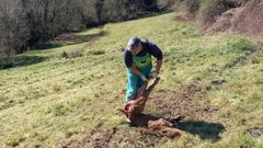 Diego L�pez con un ternero que result� muerto en el ataque de animales salvajes