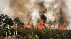 Dos bomberos forestales, en un incendio declarado en Pant�n en agosto del 2017