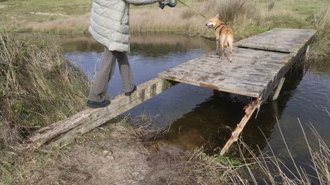 De parte del puente para cruzar el canal de desag�e del lago de Doni�os, en Ferrol, solo queda una parte en pie.
