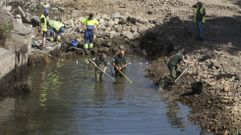 Retirada de peces, en agosto del 2022, por los agentes medioambientales