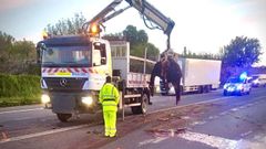 Retirada de uno de los caballos fallecidos en la N-525, en Ourense