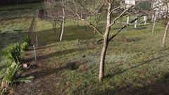 En el punto donde qued� el coche del accidente en el que perdieron la vida cuatro j�venes se apreciaban este domingo todav�a algunos vestigios del grave siniestro