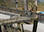 Un visitante miraba ayer el pastor el�ctrico que se est� colocando en el recinto de los monos.