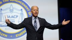 El veterano con prestigio. Joe Biden lidera las encuestas con casi el doble de apoyos que Sanders. Es el m�s liberal de los candidatos en liza y acumula una larga trayectoria p�blica. Muchos ven en su experiencia y en su procedencia social acomodada un obst�culo para seducir al electorado