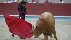 CORRIDA DE TOROS 