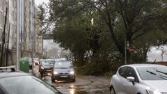 rboles cados en la avenida de Marn, en Pontevedra, por el temporal Kirk