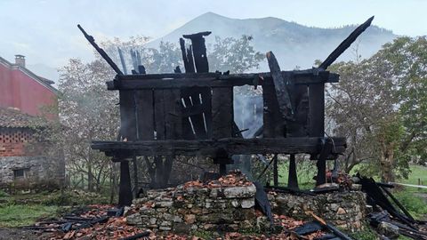 Incendio provocado en un hrreo en Cangas de Ons