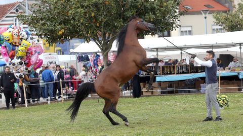 FERIA CABALLAR Y MAQUINARIA AGRICOLA EN SAN MARCOS