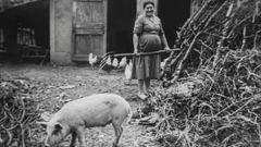 Las mujeres a mediados del siglo XX en la r�a de Ferrol