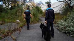 La patrulla canina de la Polic�a Local de A Coru�a interviene en el Club Financiero