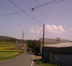 Zona donde apareci� cortado el cable el pasado d�a 2 de abril. 