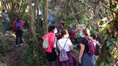 Contina en Zas el programa Andainas de Outono, que ayer tuvo su segunda salida por una ruta en proceso de homologacin: la del agua. Muos, restos de un batn, flora y fauna autctonas, naturaleza, abellarizas y espectaculares fervenzas salpican este itinerario, que est ganando mucha popularidad entre los zasenses y tambin entre los visitantes