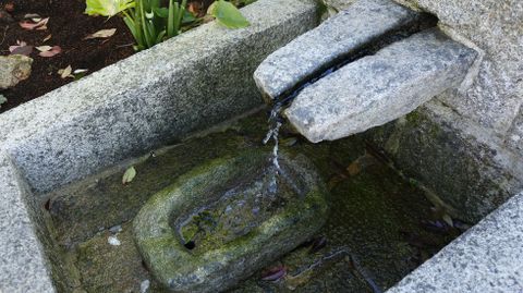 El diseo del jardn permite aprovechar el agua que de otra manera no se utilizara para nada