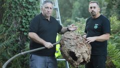Abelardo Cano, andaluz especialista en plagas, y Jos Mara Vzquez, con un nido de velutina