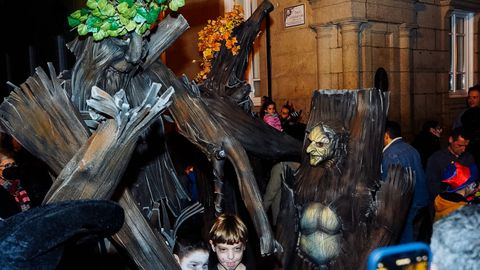 Troncos animados en el Saman de Ourense.