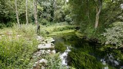 Manantiales de Quintela, de los que se abastece la red municipal de agua de Castro de Rei