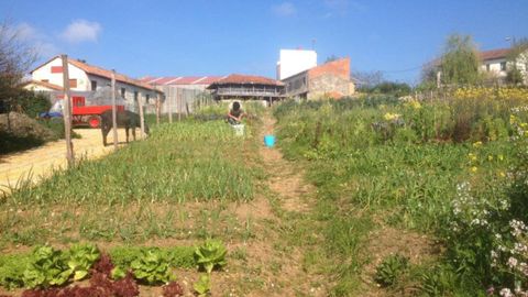 Productos ecolgicos de Yolka Granja en Villaviciosa