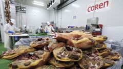 La planta de Novafrigsa en Lugo