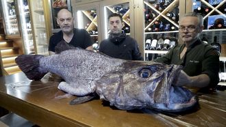 Santi Pardias, en el centro, propietario del restaurante Destapa, en Matogrande, con la pieza que hoy empezar a comercializar preparado de tres maneras diferentes