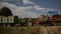 Labores agr�colas en Xinzo de Limia.
